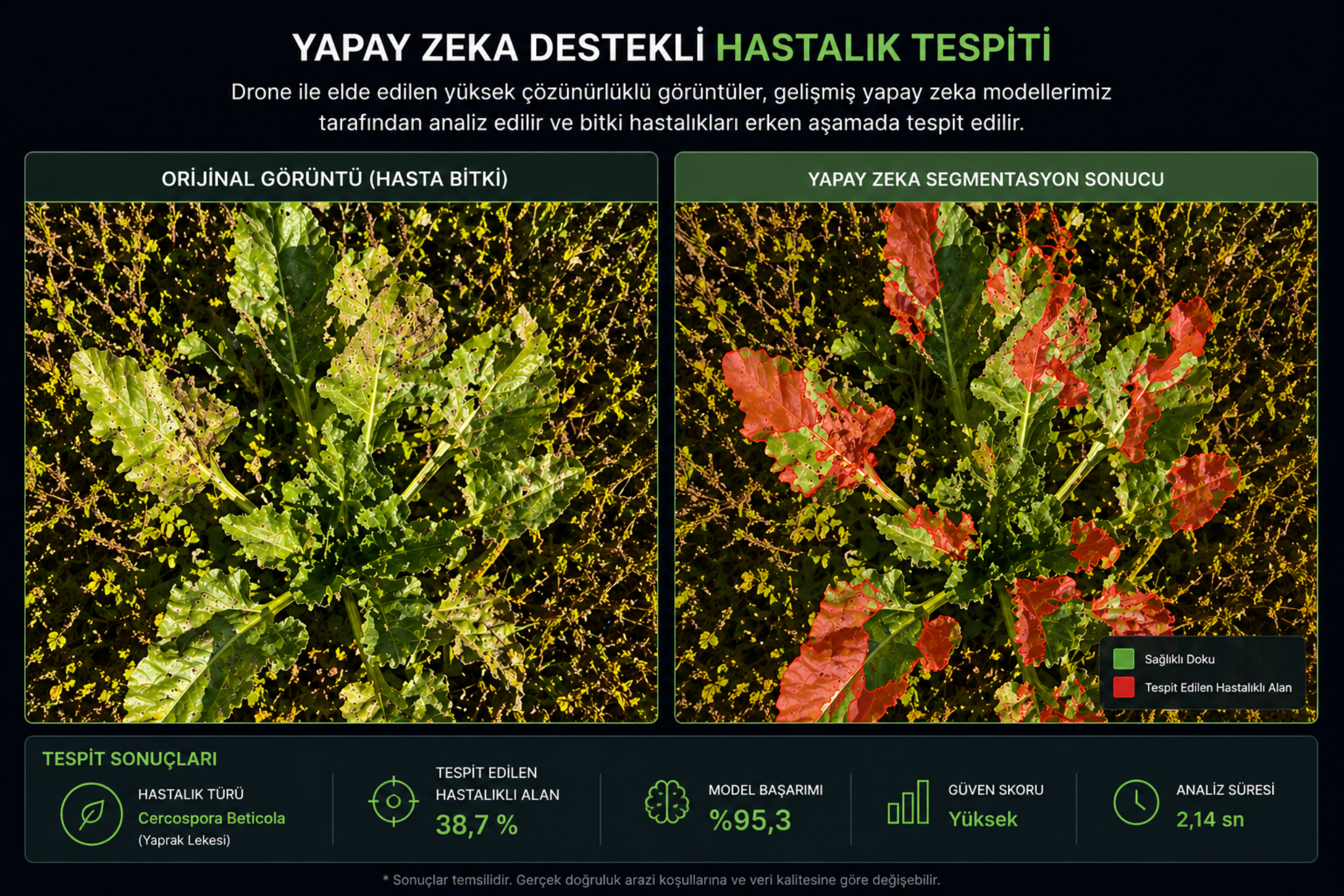 Yapay zeka segmentasyon çıktısı